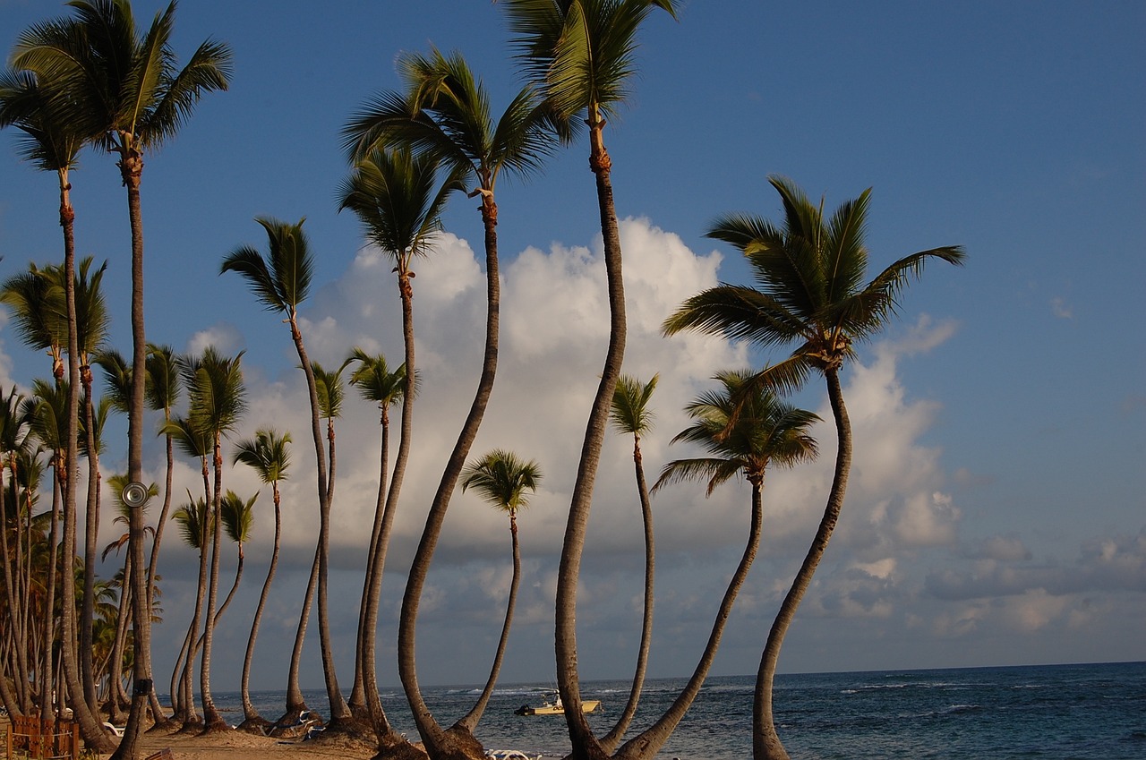 4-Day Punta Cana Adventure